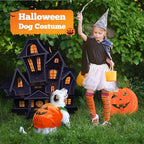 PETCARE Funny Pumpkin Dog Halloween Costume Pet Dog Cat Thick Plush Pumpkin Decoration Shirt Clothes for Small Medium Dogs Cats Puppy Cute Halloween Party Cosplay Dress Up Outfits