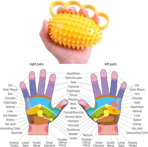 Fanwer Hand Exercise Stress Ball - Grip Strength Trainer, Hand Strengthener for Physical Therapy, Finger Strengthener, Squeeze Ball for Rehabilitation & Hand Massage, for Adults, Seniors & Disabled