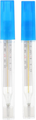 2Pc Glass Oral Temperature Adult: Free Clinic Armpit Fast Reading Fever Indicator