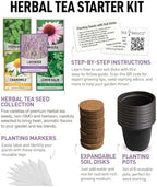 Tea Growing Kit - Includes Medicinal Lavender, Chamomile, Lemon Balm, Peppermint and Echinacea Heirloom Garden Seeds, Grow Pots, Soil, Plant Markers, Indoor Herb Kit Outdoor Tea Garden Kit