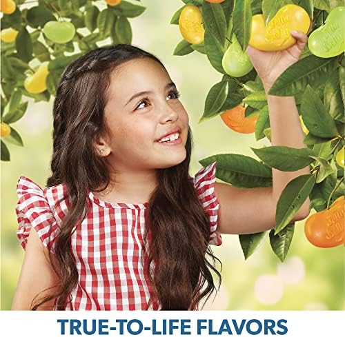 Jelly Belly Sugar Free - 8.25 oz Bag - Official, Genuine, Straight from the Source