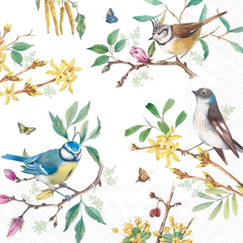 IHR Ideal Home Range Party Napkins Disposable 3-Ply Paper Lunch Napkin Pack, 6.5" x 6.5", Spring Story, 20-Count