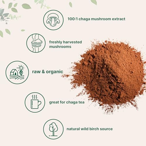Micro Ingredients Organic Chaga Mushroom Extract, 10 oz | 100:1 Wild Harvested | Supports Immune & Antioxidant Defense | Great for Tea & Smoothies | Non-GMO, Vegan Friendly