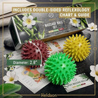 HELDSON® 3 Spiky Massage Balls Set [Soft, Medium, Hard] - Foot Roller Massager Spikes - Spike Trigger Point Ball for Back Pain Relief & Feet - Plantar Fasciitis Deep Tissue Therapy - Spikey Pressure