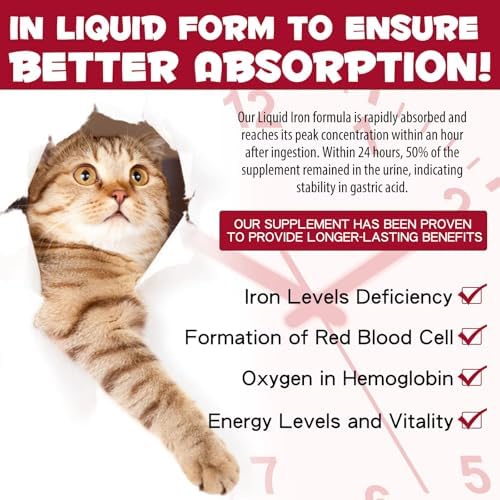 Liquid Iron Supplements for Cats and Kittens - with Folate and B12 – Supplements Anemia, Promotes Blood Health, Oxygen Supply and Blood Cell Formation – Increase Low Energy Levels – Lethargy - 2 oz