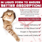 Liquid Iron Supplements for Cats and Kittens - with Folate and B12 – Supplements Anemia, Promotes Blood Health, Oxygen Supply and Blood Cell Formation – Increase Low Energy Levels – Lethargy - 2 oz