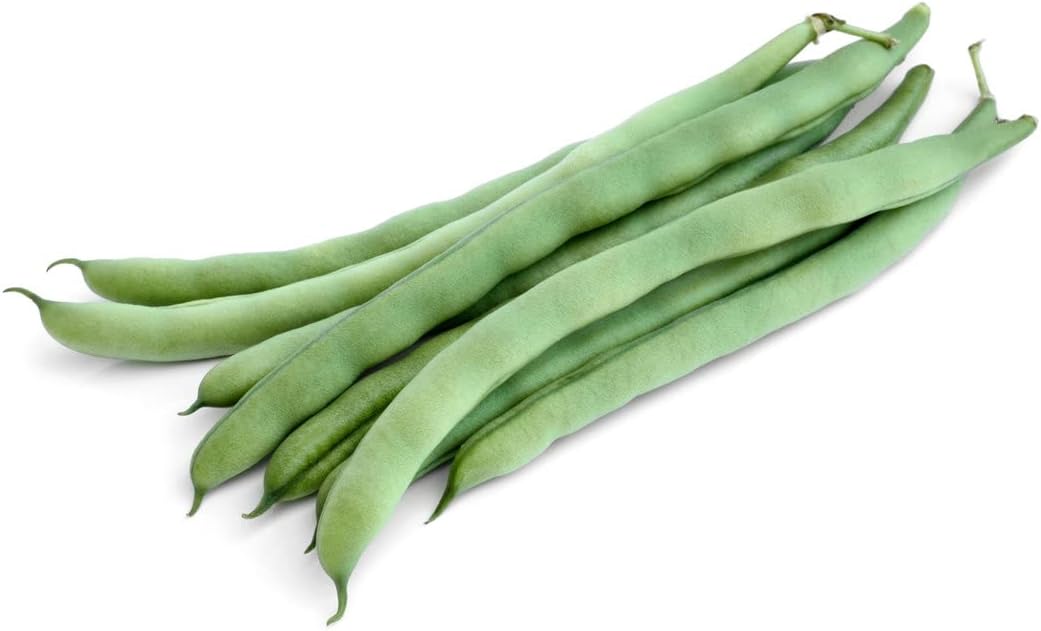 Fortex Vining French Green Bean Haricots Verts Premium Seeds for Planting Packet