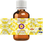 Greenwood Essential Pure Cypriol Essential Oil (Cyperus scariosus) Steam Distilled 30ml (1 oz)