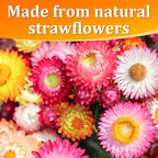 30+ Edible Dried Mixed Flowers – 25g Food Grade Natural Blooms for Cake Decorating, Tea, Cocktails, DIY – Ideal for Cocktail Toppers, Drink Garnish, Bath Soaks – No Additives, Vegan