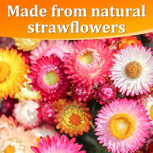 30+ Edible Dried Mixed Flowers – 25g Food Grade Natural Blooms for Cake Decorating, Tea, Cocktails, DIY – Ideal for Cocktail Toppers, Drink Garnish, Bath Soaks – No Additives, Vegan