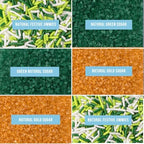 Sweets Indeed Dye Free St. Patricks Day Sprinkles, 6 Cell Sugar and Jimmies, No Artificial Dyes, Edible Sprinkle Mix Jimmies Perfect for Cake Decorations Baking Ice Cream Cookies Cupcake Topper (Shamrock)