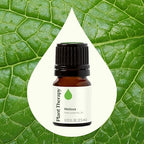 Plant Therapy Melissa Essential Oil 2.5 mL (1/12 oz) 100% Pure, Undiluted Essential Oil, Encourages Healthy, Radiant-Looking Skin