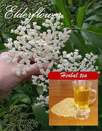 Elderflower bulk. Make healthy herbal tea (enough for 75 cups), or use it to make delicious bread, elderflower jelly, or cookies. 75 grams (bulk)