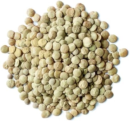 Food to Live Organic Whole Green Lentils, 2.5 Pounds – Non-GMO, Dried Raw Beans, Sproutable, Vegan, Kosher, Bulk. High in Folate, Dietary Fiber, Protein. No Soaking Required. Great for Burgers.