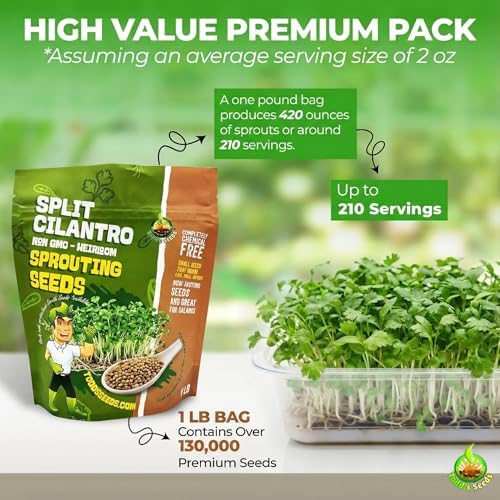 Todd's Seeds Coriander (Split Seed Cilantro) Slo-Bolting Herb Seed, Non-GMO, Chemical Free, High Germination (1/4 Pound)