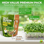 Todd's Seeds Coriander (Split Seed Cilantro) Slo-Bolting Herb Seed, Non-GMO, Chemical Free, High Germination (1/4 Pound)
