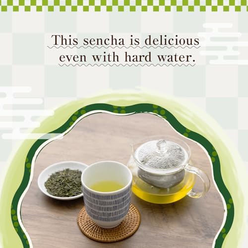 Sencha Green Tea – Organic Japanese Green Tea Loose Leaf, 80g Organic Loose Leaf by HAJIME