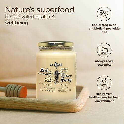 Oneroot 100% Canadian Wildflower Honey - 1kg / 2.2lbs, Unheated & Creamed - Nutrient-Rich, Natural Sweetener with Enzymes - Thick & Pure Raw Unfiltered Honey