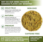 30 Bags Dried Mistletoe Herb Tea (Viscum) - 30 Count 1.5g Tea Bags Mistletoe Herb Muerdago