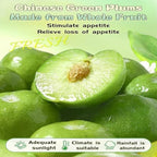 QIXINLIZY 6.4oz Sweet and Sour Dried Plums, Plum meat，Asia Crack Seed Chinese Traditional Candy Prunes180g