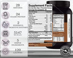 Stellar Labs Whey Protein Powder with BCAA's & Whey Isolate | Certified Low FODMAP, Non GMO, Gluten Free, Low Carb, Keto, with Stevia | All Natural Lean Post Workout Shakes | Chocolate