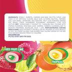 Mentos Sugar-Free Chewing Gum, Tropical, Red Fruit and Lime, 50 Piece Bottle (Pack of 4 Bottles)