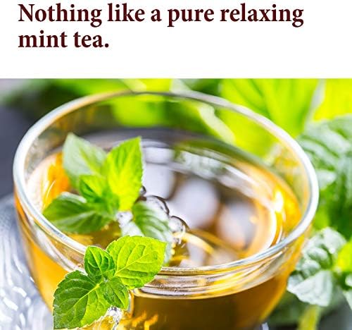 The Spice Way Mint Leaves - (2 oz) dried loose mint leaf