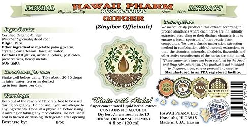 Hawaii Pharm Ginger Alcohol-Free Liquid Extract, Ginger (Zingiber officinale) Dried Root Glycerite Natural Herbal Supplement 2 oz