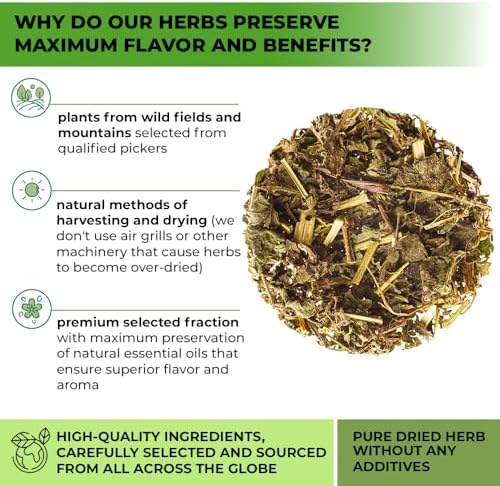 100 Bags Nettle Leaf Tea Ortiga Dried Nettle Herb Planta Bulk (Urtica Dioica) - 100 Count 1.5g Tea Bags Herb Hojas De Ortiga