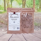 Health Embassy Calamus Rhizome | Acorus Calamus L | Herbal Tea (100g)
