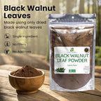 Herb To Body Black Walnut Leaf Powder - 4oz, Wildcrafted Juglans Nigra, Finely Ground Dried Black Walnut Leaves for Herbal Tea, Tinctures, and Traditional Preparations