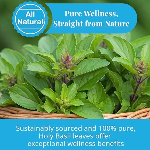 2.6oz Dried Holy Basil Leaves, Holy Basil Tea, 100% Natural Tulsi Leaves, Loose Leaf Tea, Calming & Relaxing, Non-GMO, Caffeine-free. by Akshit