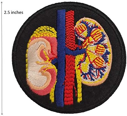 Cute-Patch Anatomical Kidney Embroidered Iron on Patch Internal Medicine Doctor Gift Puck Goth Gothic Decor