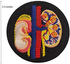 Cute-Patch Anatomical Kidney Embroidered Iron on Patch Internal Medicine Doctor Gift Puck Goth Gothic Decor