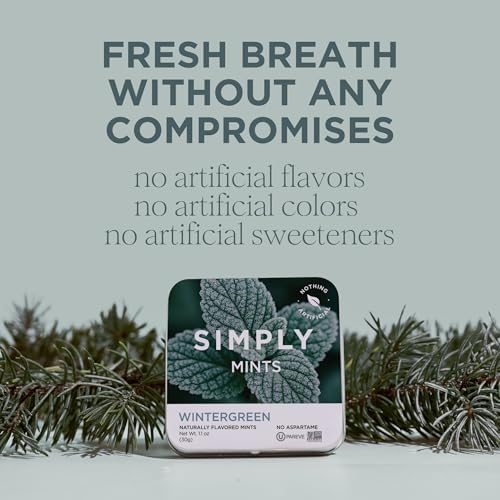 SIMPLY MINTS Natural Wintergreen Breath Mints, 6 Pack (180 Pieces), Made With Real Wintergreen Oil | Aspartame-Free, Sorbitol-Free, Xylitol-Free, Vegan, Kosher, Non-GMO