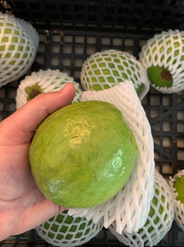 Pink Guava 4 LBS