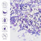 Purple Sprinkles for Cake Decorating Edible Purple Confetti Sprinkles Topper for Cookie Cupcakes, Candy, Cream, Chocolate Cake Decorations - Jimmies, Nonpareils, Sugar Pearl 7ounce