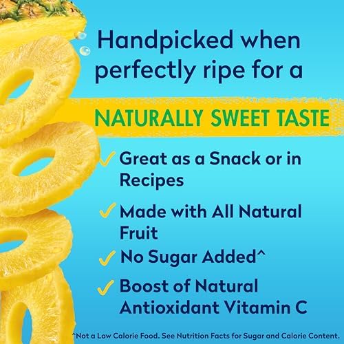 Dole Pineapple Slices in 100% Pineapple Juice with No Sugar Added - Dole Canned Fruit - 20 oz Cans - 12 Pack
