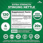 Zazzee USDA Organic Stinging Nettle Leaf 20:1 Extract, 120 Vegan Capsules, 4 Month Supply, Urtica Dioica, Respiratory, Immune & Seasonal Wellness Support, Organic Herbal Supplement, Made in the USA