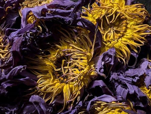 Lotus Flower Tea | Ankhclave's Sesen | 1oz Bag