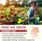 Raspberry Leaf Herbal Tea - 40 Teabags, Naturally Caffeine-Free, Mild & Herbal Taste