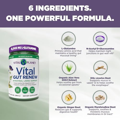 Vital Planet - Vital Gut Renew Powder Supplement for Leaky Gut Repair with L-Glutamine, Marshmallow and Ginger Root, DGL Licorice Root and Organic Aloe Vera, L Glutamine 6000mg 13.76 oz
