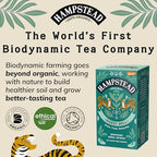 Hampstead Tea Organic Fairtrade, Fennel Liquorice Tea, 20 Count Sachet