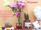 Red Jasper Aquarium Gravel Rocks Natural Tumbled Healing Crystal Chips Bulk Gemstones Tumbled Crushed Stones for Fountain Vase Filler Planters Decorative Fish Tank Potted Reiki Energy Balancing 0.44lb