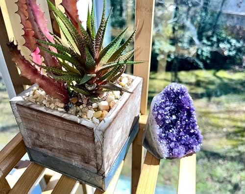 Extreme Rocks & Fossils Natural Amethyst Cluster with Polished Edges [0.75 to 1 lb.] Real Raw Geode Healing Crystal Rock from Uruguay, Deep Purple Decor and a Free Velvet Pouch of Rose Quartz