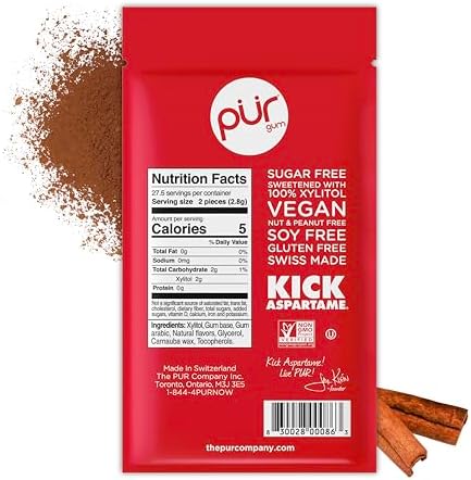 PUR Gum | Aspartame Free Chewing Gum | 100% Xylitol | Natural Cinnamon Flavored Gum, 55 Pieces (Pack of 1)