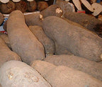 African Tuber of Yam (5 Tubers)