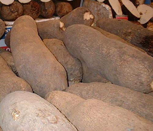 African Tuber of Yam (5 Tubers)