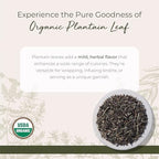 Starwest Botanicals Organic Plantain Leaf - Natural Loose Leaf Herbal Tea, Dried Plantain Herb, Cut & Sifted, Certified Kosher, Non-GMO - 4 oz Bag