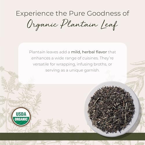 Starwest Botanicals Organic Plantain Leaf - Natural Loose Leaf Herbal Tea, Dried Plantain Herb, Cut & Sifted, Certified Kosher, Non-GMO - 4 oz Bag